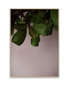 Posters 50 x 70 cm  Green Leaves - Paper Collective
