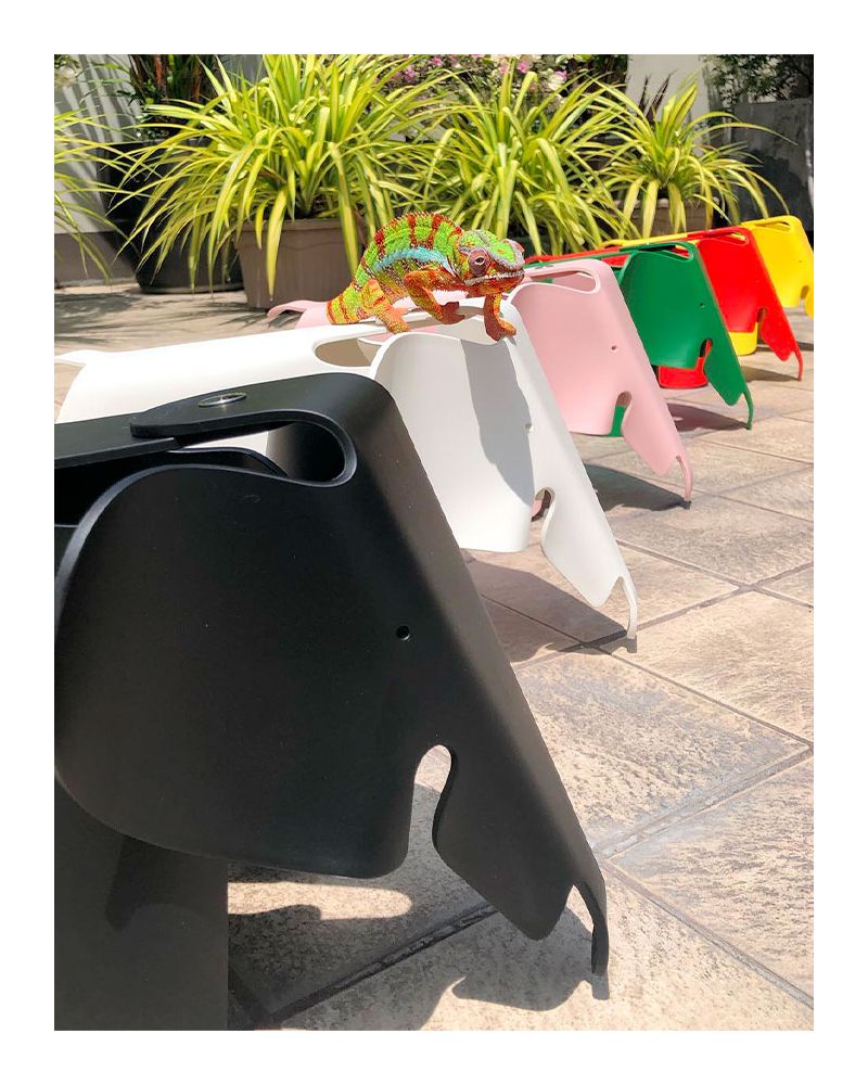 Eames Elephant - Vitra Eames Elephant - Vitra