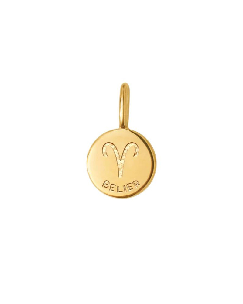Pendentif Rectangle 27.5x18 Mm - Signe Du Zodiaque Bélier - Acier Inox 304 Dore X1 P 818321