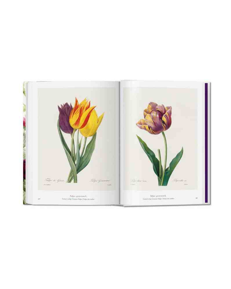 Livre Redouté The Book of Flowers 40th Edition Taschen I Trentotto