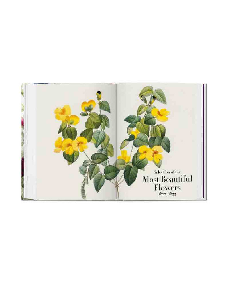 Livre Redouté The Book of Flowers 40th Edition Taschen I Trentotto
