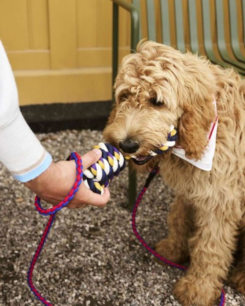 Hay Dogs Rope Toy