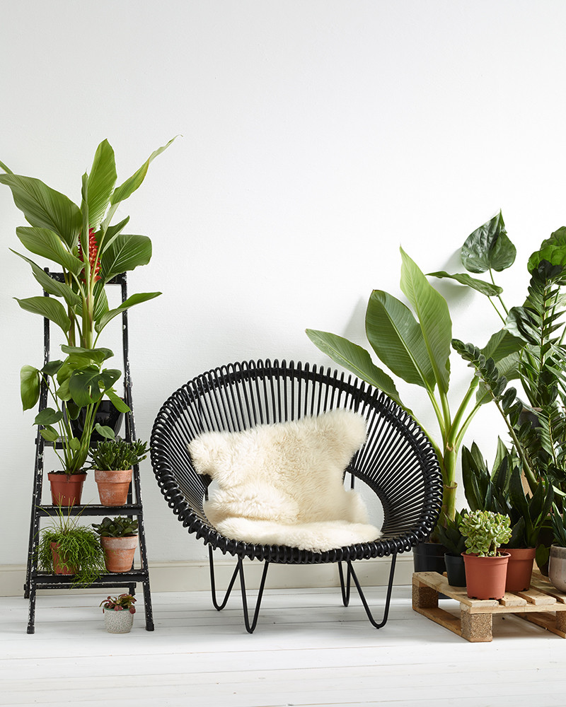 Fauteuil Cruz Cocoon intérieur - Vincent Sheppard Fauteuil Cruz Cocoon intérieur - Vincent Sheppard